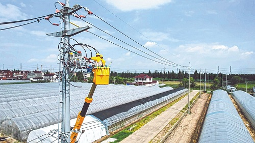 迎峰度夏保供電丨打造堅強配網(wǎng) 讓供電更可靠